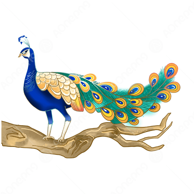 Beautiful Peacock PNG Images Free Download | AOnePng