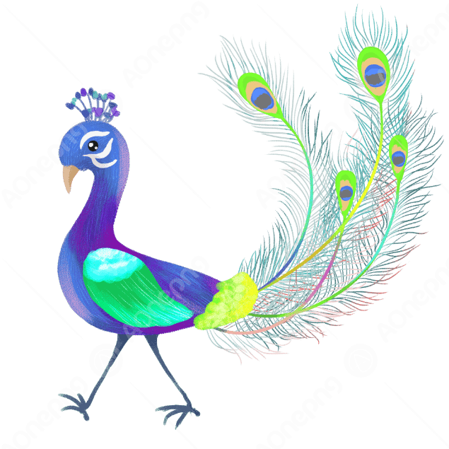 Beautiful Peacock PNG & PSD Images Free Download | AOnePng