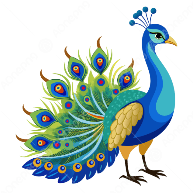 Peacock PNG Images Free Download | High Quality AOnePng