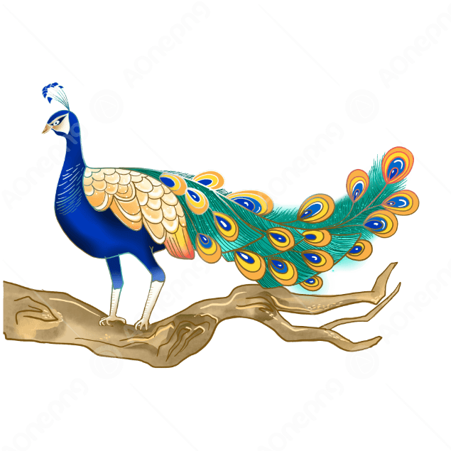 Beautiful Peacock PNG Clipart & Images Free AOnePng